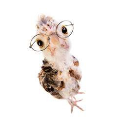 Similar image 8527756