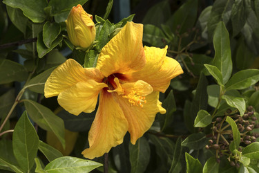 Similar image 8527762