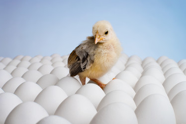 Similar image 8527895