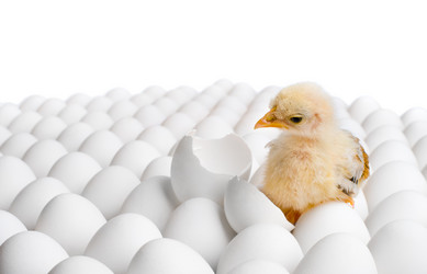 Similar image 8527897