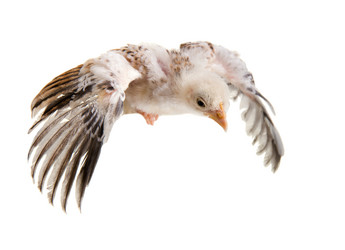 Similar image 8527902