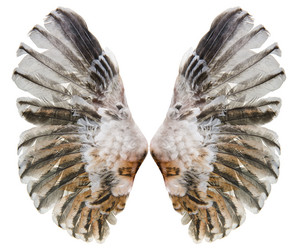 Similar image 8527904