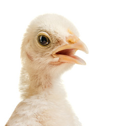 Similar image 8527909