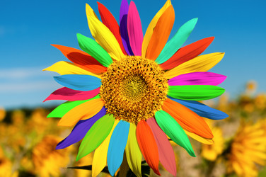 Similar image 8527910