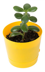 Similar image 8527970