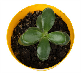 Similar image 8527975