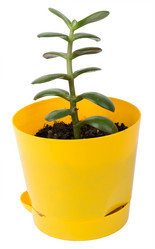 Similar image 8528018