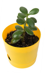 Similar image 8528019