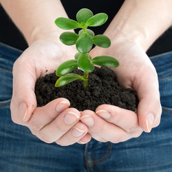 Similar image 8528031