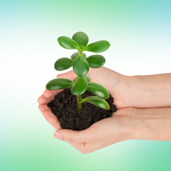 Similar image 8528035