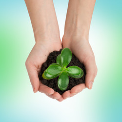 Similar image 8528036