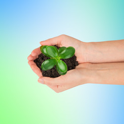 Similar image 8528037