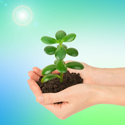 Similar image 8528038