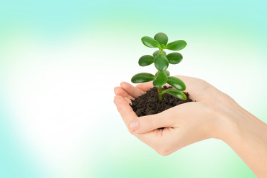 Similar image 8528039