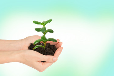 Similar image 8528040