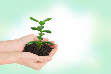 Similar image 8528041