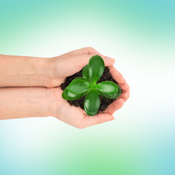 Similar image 8528042