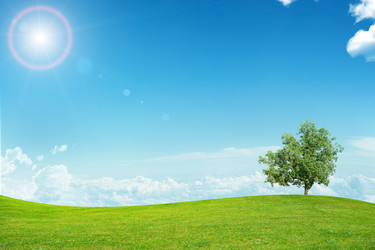 Similar image 8528053