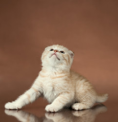 Similar image 8528143