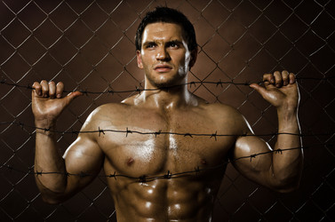 Similar image 8528230