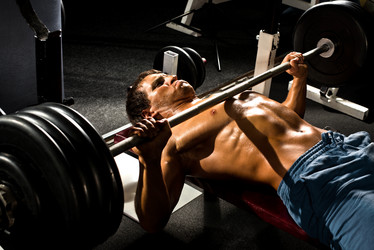 Similar image 8528241