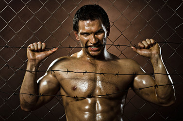 Similar image 8528243