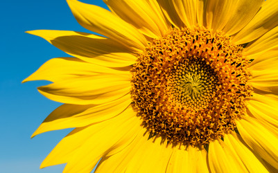 Similar image 8528261