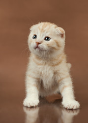 Similar image 8528290