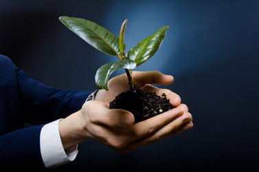 Similar image 8528357