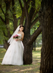 Similar image 8528423