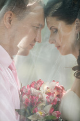 Similar image 8528442