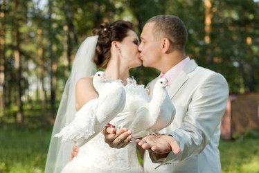 Similar image 8528484