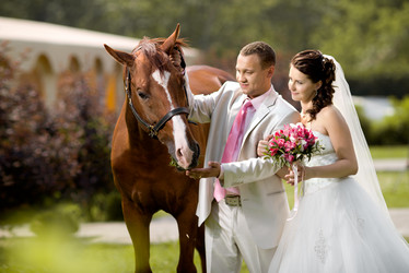 Similar image 8528499