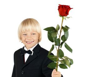 Similar image 8528530