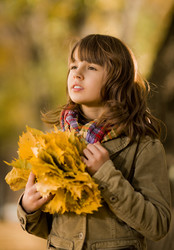 Similar image 8528561