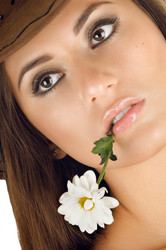 Similar image 8528565