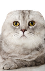 Similar image 8528578