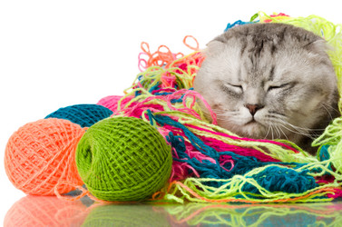 Similar image 8528601