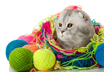 Similar image 8528605