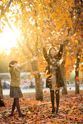 Similar image 8528607