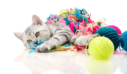 Similar image 8528609