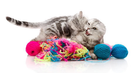 Similar image 8528620