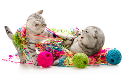 Similar image 8528623