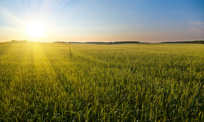 Similar image 8528635