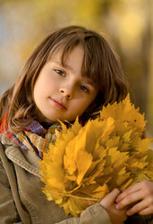 Similar image 8528661