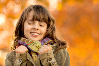 Similar image 8528668