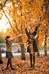 Similar image 8528675