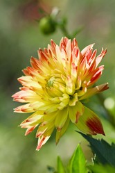 Similar image 8528695