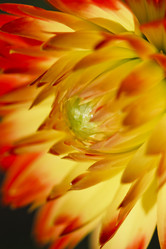 Similar image 8528696