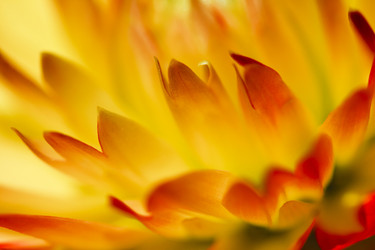 Similar image 8528698